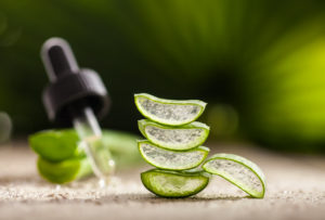 Could Aloe Vera Be the Answer to the Sores in Your Mouth?